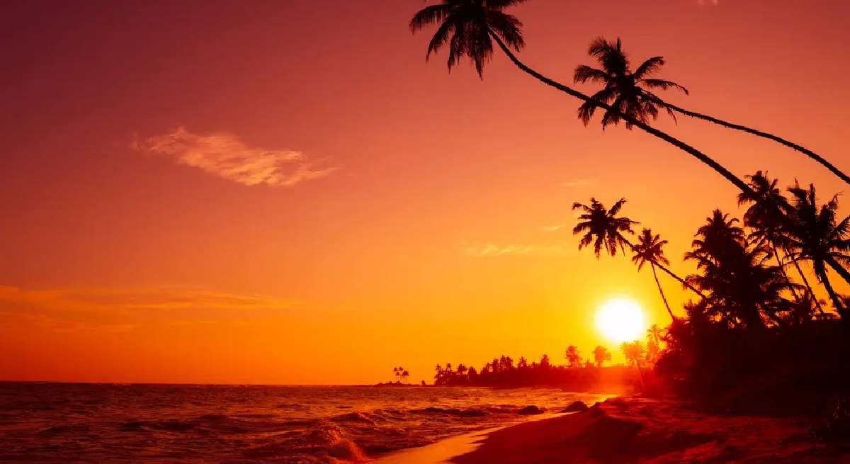 Best Time to Visit Miami: Seasonal Guide for 2026